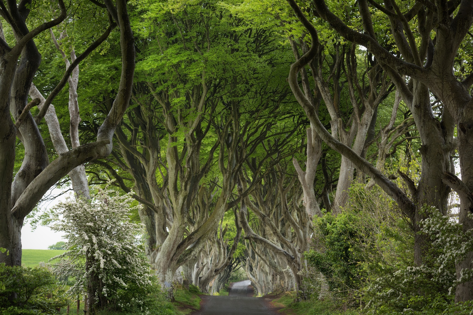 Noord-Ierland