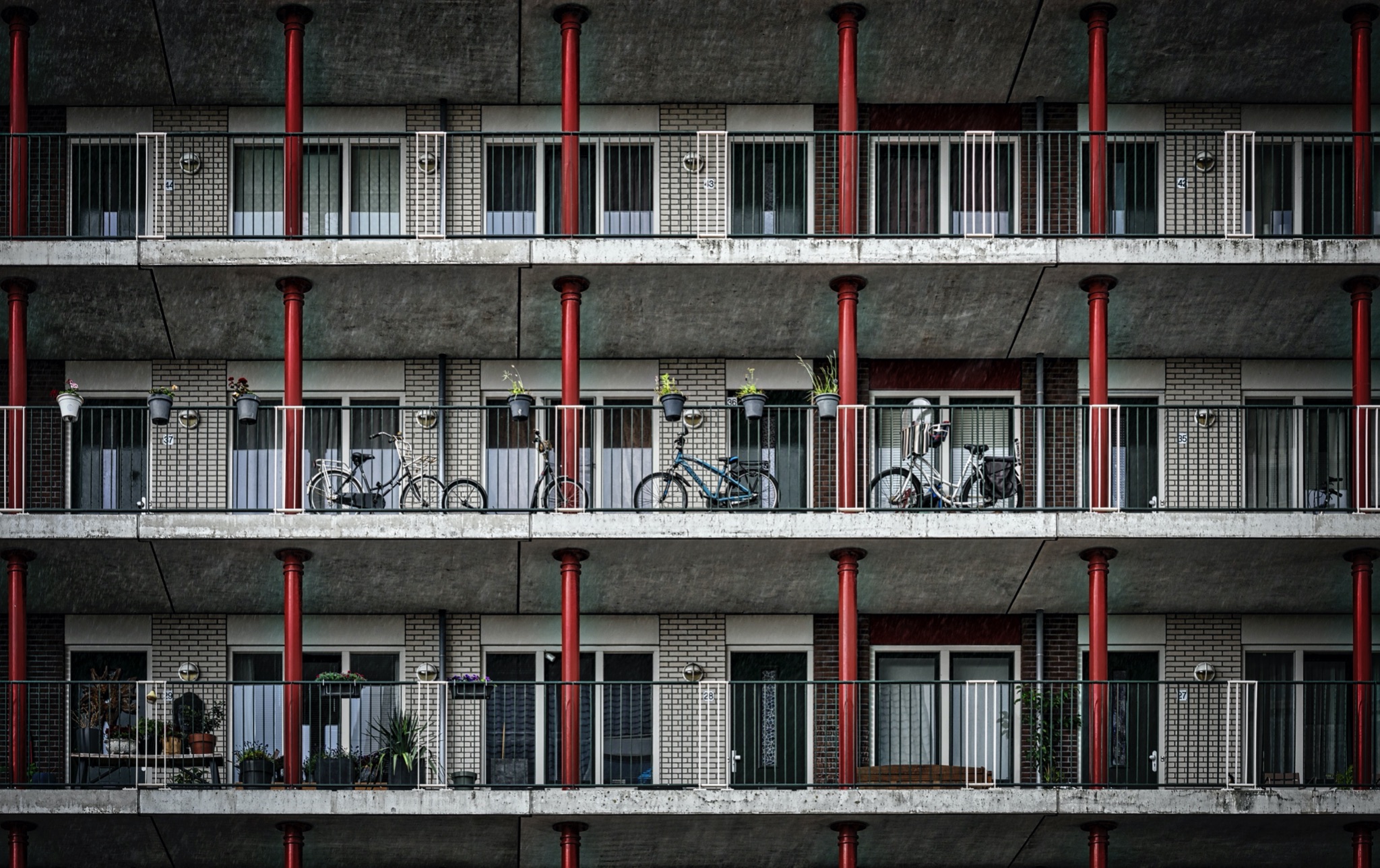 Zaandam 04